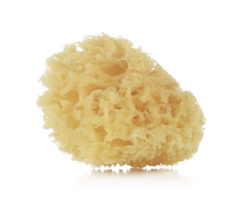 88860-ESPONJA NATURAL JANE X2(21-6)-0